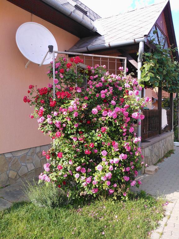 Valentin Vendégház Balatonlelle Esterno foto